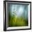 Morning Grass-Ursula Abresch-Framed Premium Photographic Print