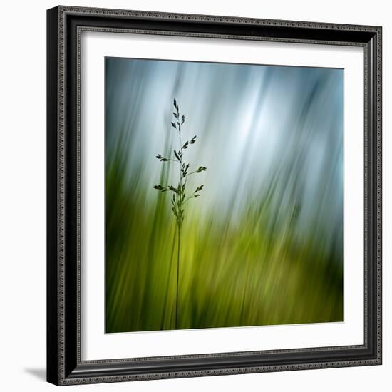 Morning Grass-Ursula Abresch-Framed Premium Photographic Print