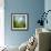 Morning Grass-Ursula Abresch-Framed Premium Photographic Print displayed on a wall