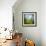 Morning Grass-Ursula Abresch-Framed Premium Photographic Print displayed on a wall