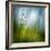 Morning Grass-Ursula Abresch-Framed Premium Photographic Print