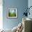 Morning Grass-Ursula Abresch-Framed Photographic Print displayed on a wall