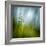 Morning Grass-Ursula Abresch-Framed Photographic Print