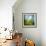 Morning Grass-Ursula Abresch-Framed Photographic Print displayed on a wall