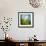 Morning Grass-Ursula Abresch-Framed Photographic Print displayed on a wall