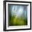 Morning Grass-Ursula Abresch-Framed Photographic Print