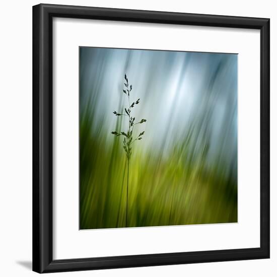 Morning Grass-Ursula Abresch-Framed Photographic Print