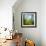 Morning Grass-Ursula Abresch-Framed Photographic Print displayed on a wall