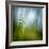 Morning Grass-Ursula Abresch-Framed Photographic Print