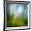 Morning Grass-Ursula Abresch-Framed Photographic Print