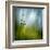 Morning Grass-Ursula Abresch-Framed Premium Photographic Print