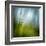 Morning Grass-Ursula Abresch-Framed Premium Photographic Print