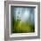 Morning Grass-Ursula Abresch-Framed Premium Photographic Print