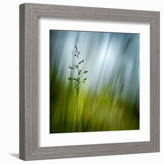 Morning Grass-Ursula Abresch-Framed Premium Photographic Print