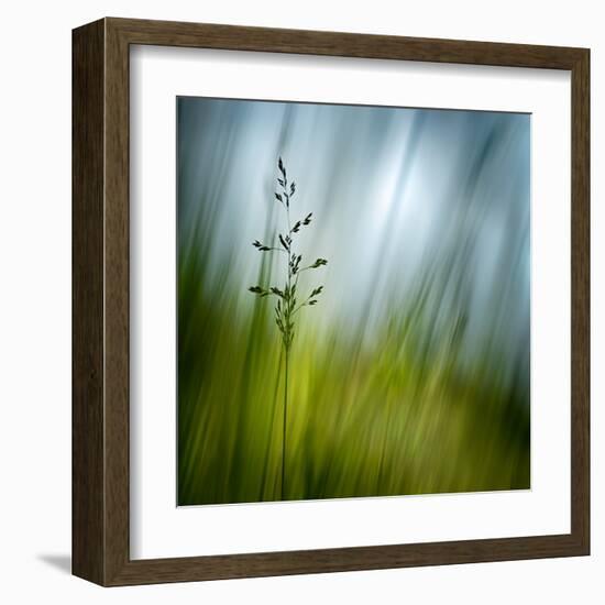 Morning Grass-Ursula Abresch-Framed Premium Photographic Print