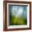 Morning Grass-Ursula Abresch-Framed Premium Photographic Print