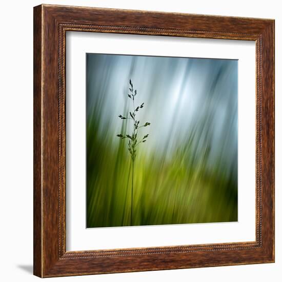 Morning Grass-Ursula Abresch-Framed Premium Photographic Print