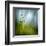 Morning Grass-Ursula Abresch-Framed Premium Photographic Print