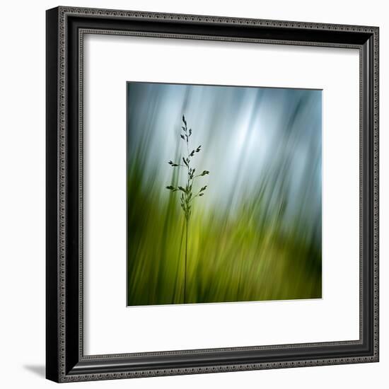 Morning Grass-Ursula Abresch-Framed Premium Photographic Print