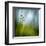 Morning Grass-Ursula Abresch-Framed Premium Photographic Print