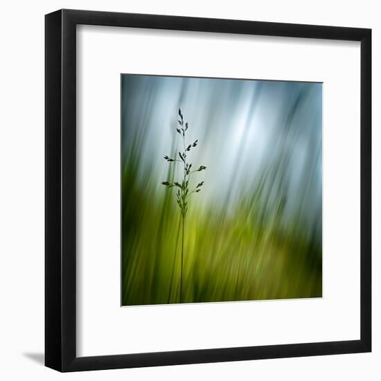 Morning Grass-Ursula Abresch-Framed Premium Photographic Print