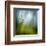 Morning Grass-Ursula Abresch-Framed Premium Photographic Print