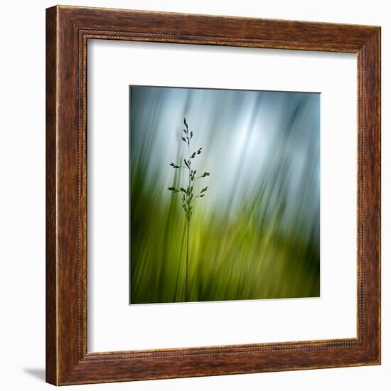 Morning Grass-Ursula Abresch-Framed Premium Photographic Print