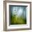 Morning Grass-Ursula Abresch-Framed Premium Photographic Print