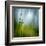 Morning Grass-Ursula Abresch-Framed Premium Photographic Print