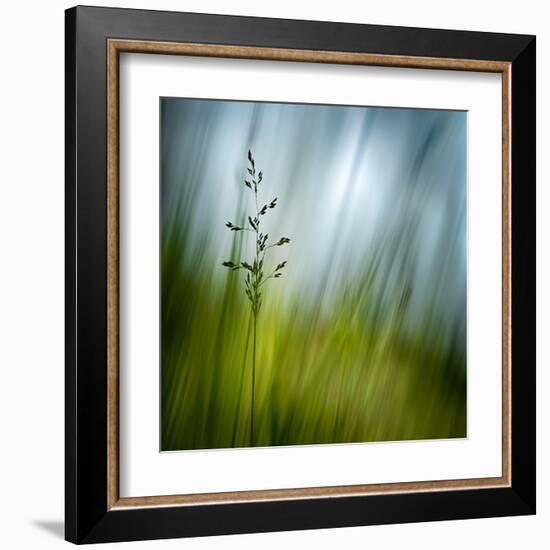 Morning Grass-Ursula Abresch-Framed Premium Photographic Print