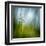 Morning Grass-Ursula Abresch-Framed Premium Photographic Print