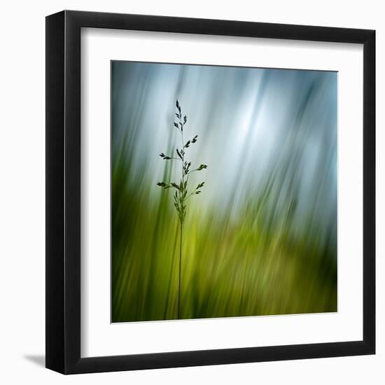 Morning Grass-Ursula Abresch-Framed Premium Photographic Print