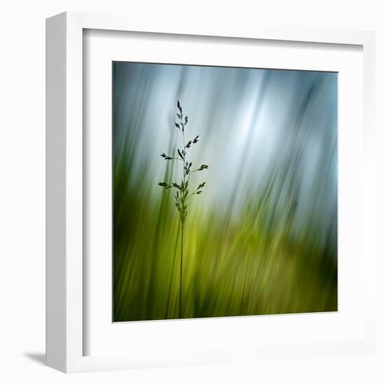 Morning Grass-Ursula Abresch-Framed Premium Photographic Print