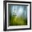 Morning Grass-Ursula Abresch-Framed Premium Photographic Print