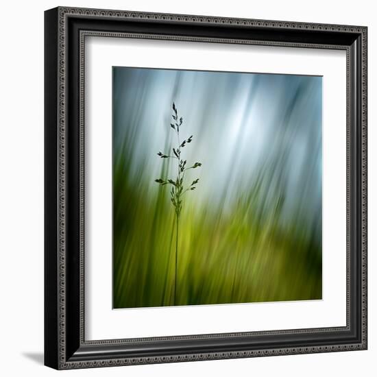 Morning Grass-Ursula Abresch-Framed Premium Photographic Print