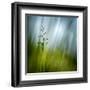 Morning Grass-Ursula Abresch-Framed Premium Photographic Print