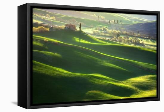 Morning Harmony-Marcin Sobas-Framed Premier Image Canvas