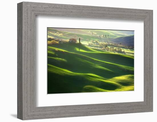 Morning Harmony-Marcin Sobas-Framed Photographic Print