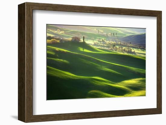 Morning Harmony-Marcin Sobas-Framed Photographic Print