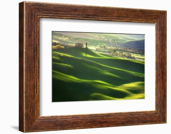 Morning Harmony-Marcin Sobas-Framed Photographic Print