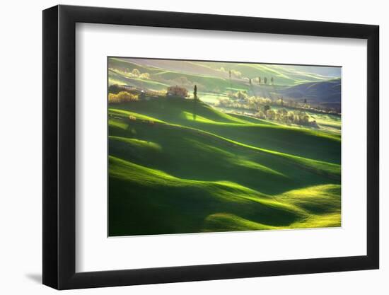 Morning Harmony-Marcin Sobas-Framed Photographic Print