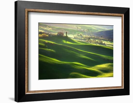 Morning Harmony-Marcin Sobas-Framed Photographic Print