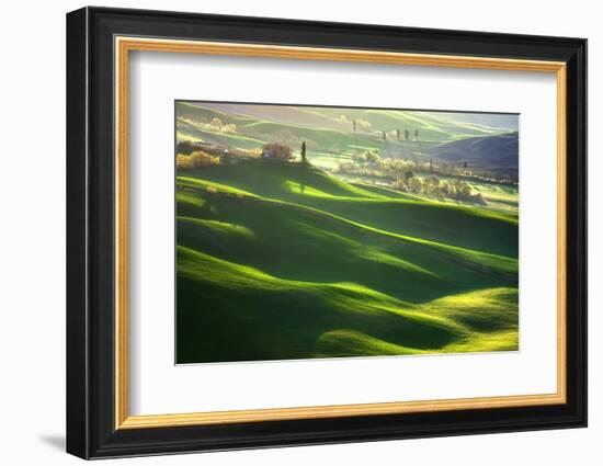 Morning Harmony-Marcin Sobas-Framed Photographic Print