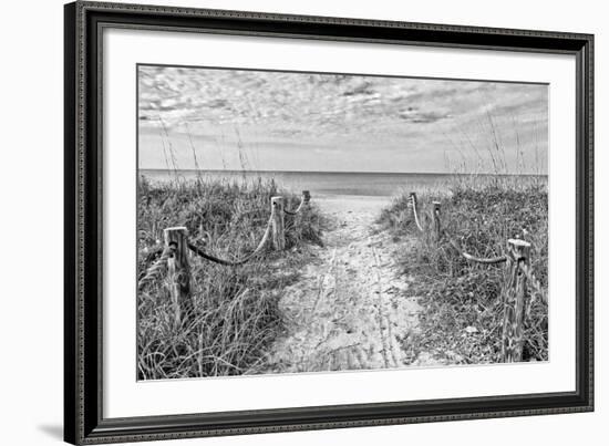 Morning Has Broken (b/w)-Mary Lou Johnson-Framed Art Print