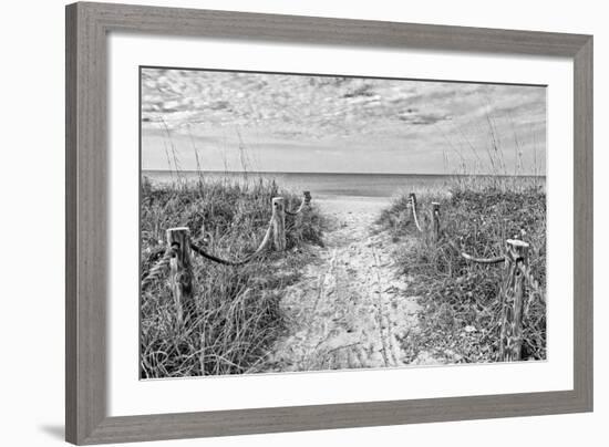 Morning Has Broken (b/w)-Mary Lou Johnson-Framed Art Print