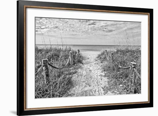 Morning Has Broken (b/w)-Mary Lou Johnson-Framed Art Print