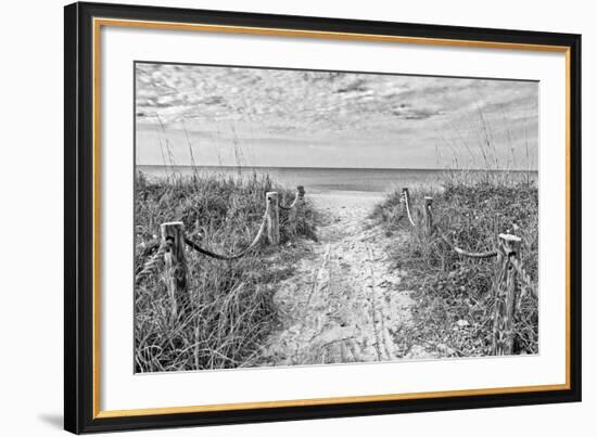 Morning Has Broken (b/w)-Mary Lou Johnson-Framed Art Print