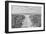 Morning Has Broken (b/w)-Mary Lou Johnson-Framed Giclee Print