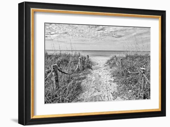 Morning Has Broken (b/w)-Mary Lou Johnson-Framed Giclee Print