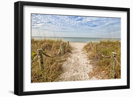 Morning has Broken-Mary Lou Johnson-Framed Art Print